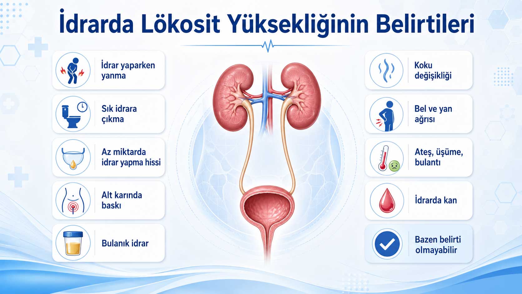 İdrarda lökosit yüksekliğinin belirtilerini gösteren üriner sistem ve semptom infografiği