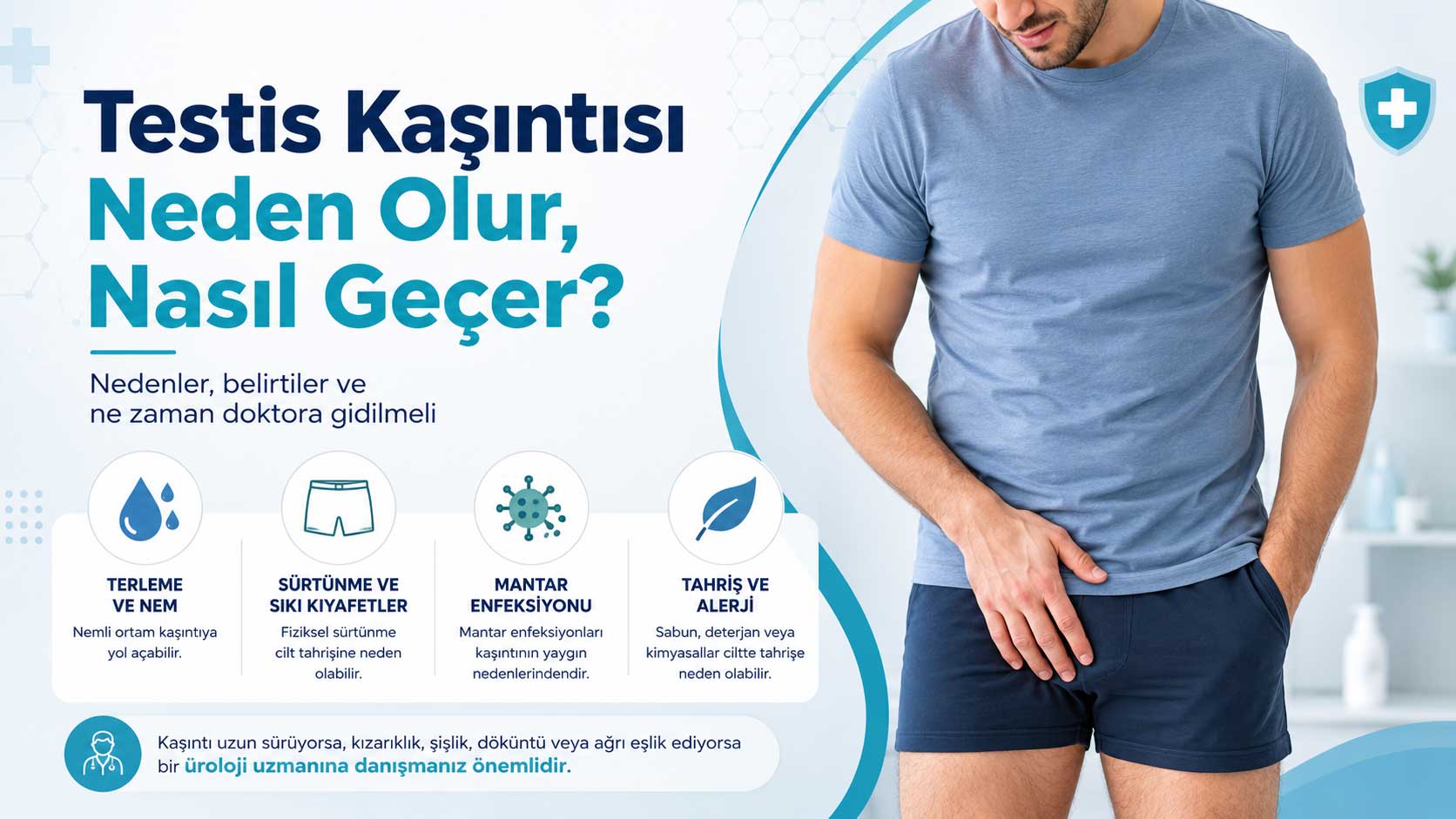 Testis Kaşıntısı Neden Oluru Anlatan Bir Görsel