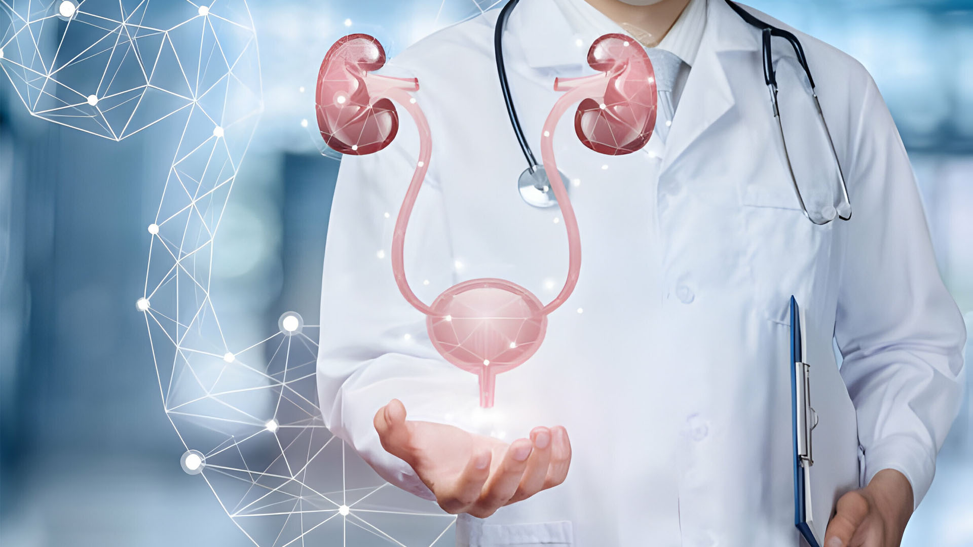 PSA Dansitesi Nedir?