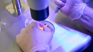 Aşılama Nedir? Sperm Sayısı Aşılamada Önemli mi?