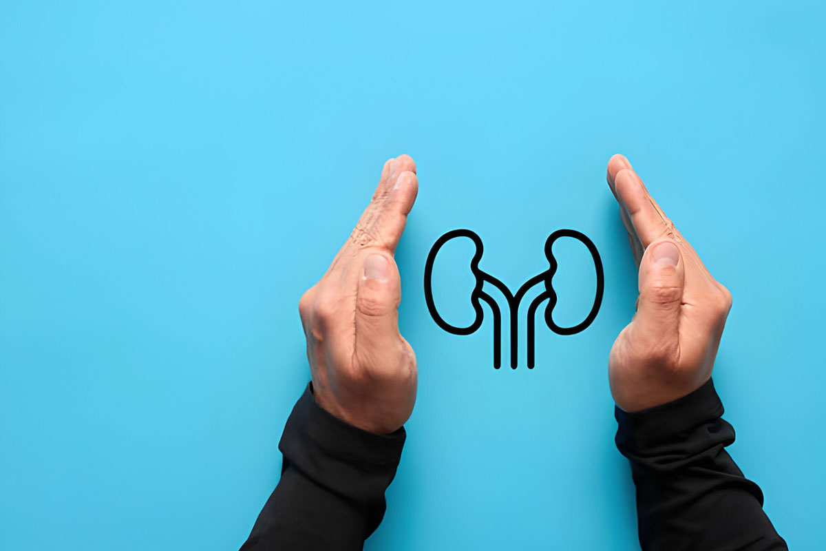 Böbrek Hastası Olanlar Ve Oruç