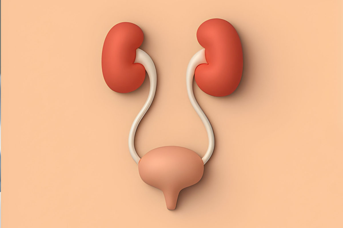 Mesane Divertikülü Çeşitleri