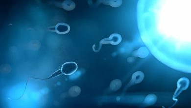 Sperm Hareket Azlığı