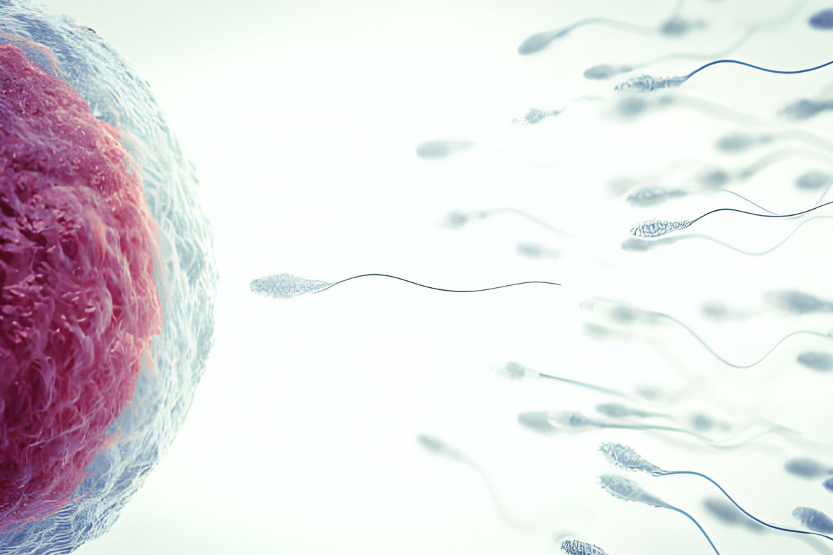 Sperm Hareket Azlığı Nedir?