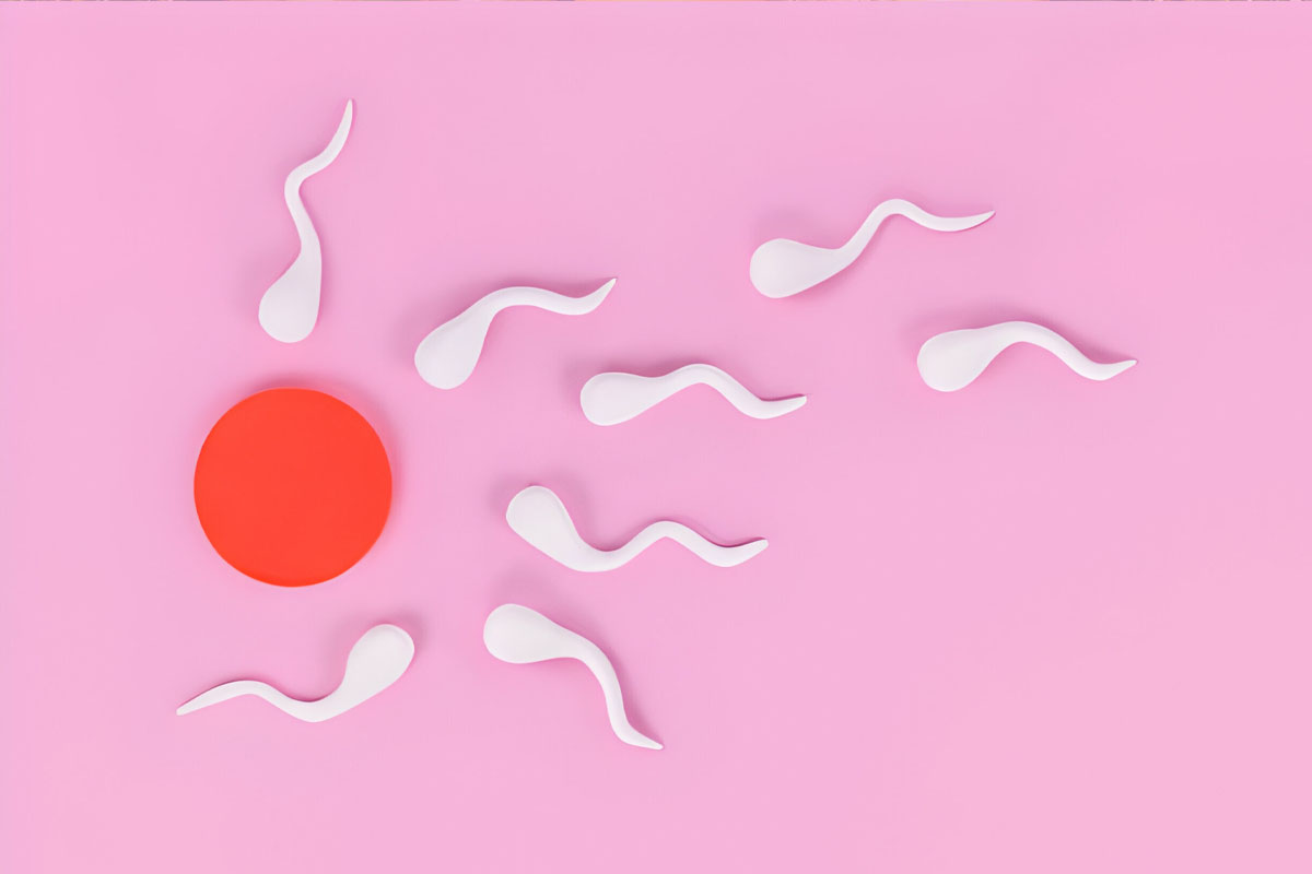 Sperm sayısını artıran yiyecekler
