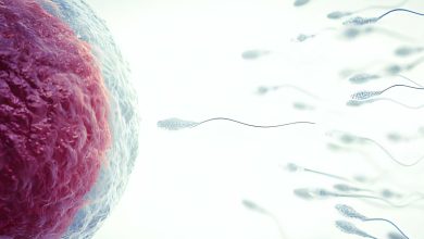 Vazektomi Sonrası Bağlanan Kanallar Yeniden Açılabilir mi