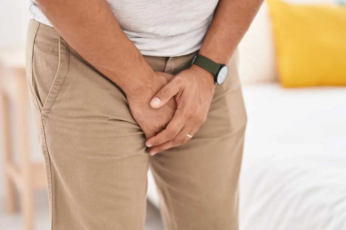 Penis Anatomisi Nasıldır?
