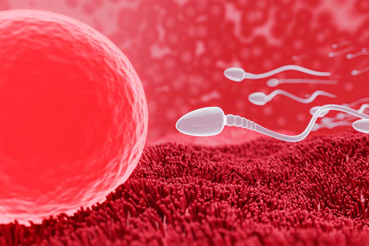 Sperm DNA Hasarına Ne İyi Gelir?