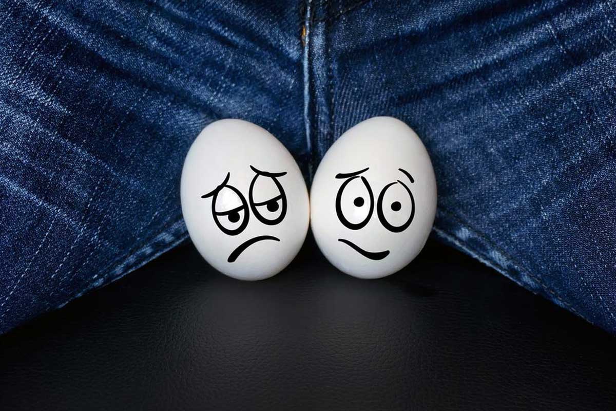 Testisi Kurtarma Oranı Nedir?