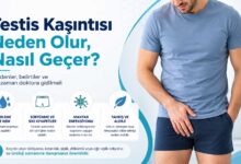 Testis Kaşıntısı Neden Oluru Anlatan Bir Görsel