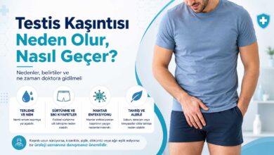 Testis Kaşıntısı Neden Oluru Anlatan Bir Görsel