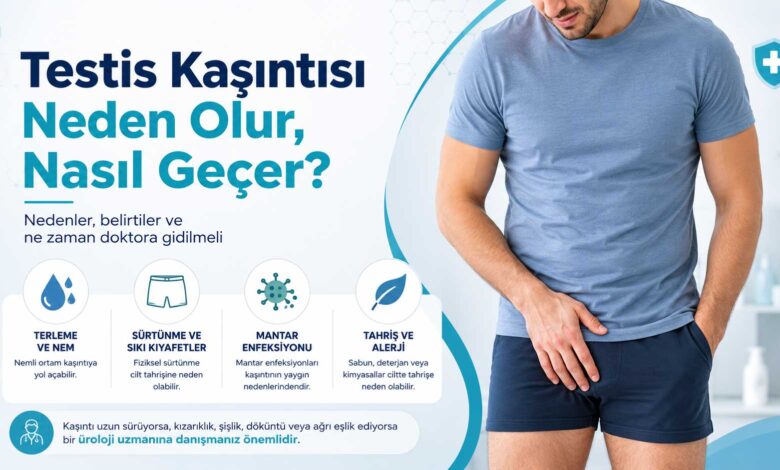 Testis Kaşıntısı Neden Oluru Anlatan Bir Görsel