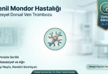 Penil Mondor Hastalığı Hakkında