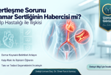 Sertleşme Sorunu ve Damar Sağlığı